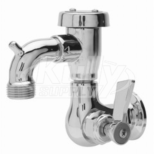 Fisher 29556 Faucet 