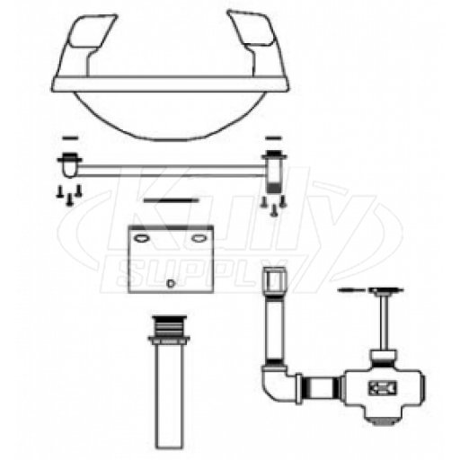 Speakman SE-410 Wall-Mounted Eye/Face Wash (with Rectangular Stainless Steel Receptor)