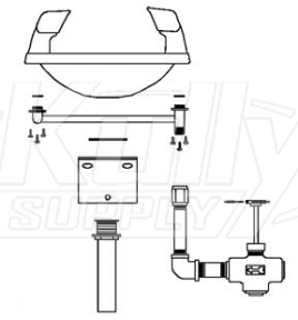 Speakman SE-410 Wall-Mounted Eye/Face Wash (with Rectangular Stainless Steel Receptor)