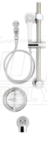 Speakman SM-4490-ADA Balanced Pressure Handicap Shower Combination